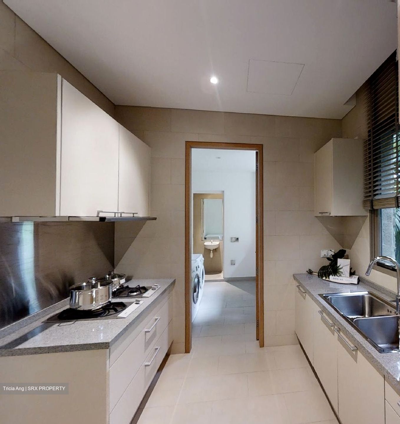 Bishopsgate Residences (D10), Condominium #381068341